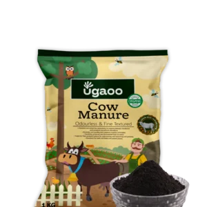 Cow Manure